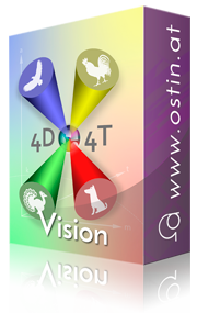 4D4T Start Up